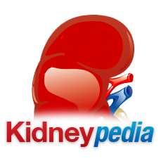 Transparent2SQ – Kidneypedia